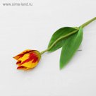 Цветок искусственный "Тюльпан Хавран" 4*34 см, жёлто-красный