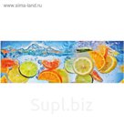 Фартук ХДФ Цитрусовый бум 695х2070х3 мм