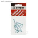 Винт DIN965 TUNDRA krep, с потайной головкой, оцинк. М6х20 мм, в пакете 12 шт.