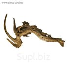 Коряга натуральная UDeco Coral Driftwood M "Коралловая" 1 шт, 25-60 см, m=1-2 кг