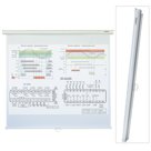 Экран проекционный LUMIEN ECO PICTURE, матовый, настенный, 200?200 см, 1:1