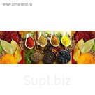 Фартук ХДФ Восточные пряности 695х2070х3 мм