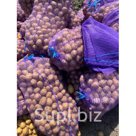 Картофель