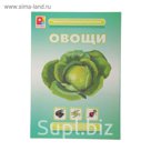 Демонстрационный материал "Овощи"
