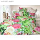 КПБ 2сп арт. 1573,175х215см, 180х220см, 70х70см 2 шт, 60 г/м, пэ100%