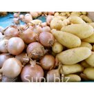 Картофель и репчатый лук оптом .