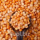 Горох лущеный колотый 10 кг