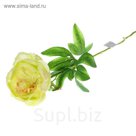 Цветок искусственный "Пион" белый