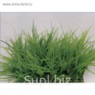 Растение пластиковое Коврик 12,5х25см, зеленое (83005_12.5)