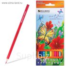 Карандаши 12 цветов Wonderful butterfly, картонная упаковка с блестками