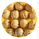 Грецкий орех в скорлупе(средний) Walnut in shell