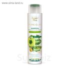 Шампунь Pure Clay Изумрудная глина, для жирных волос, масло амлы, 400 мл