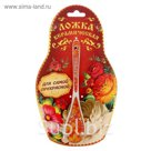 Ложка керамическая на открытке "Марина"