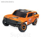 Радиоуправляемая модель с электродвигателем Robby Gordon Gordini, 1/10 + зарядное устройство   28653
