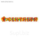 Гирлянда "1 Сентября", дл. 80 см