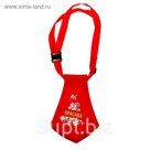 Галстук "Красава" (красный) 9,0 х 6,0 см на ленте 28 - 50 х 1,0 см.