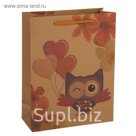 Пакет крафт 36 х 27 х 8 см