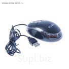 Мышь Intro MU109 black USB