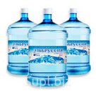 "Эльбрусия"19л