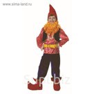 Карнавальный костюм "Гном Весельчак", бархат,  р.26, рост 104 см