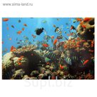 Фон для аквариума № 25Ф, односторонний, 40х60см
