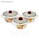Набор кастрюль "Кухня", 3 шт: 2,1 л, 3,1 л, 4 л