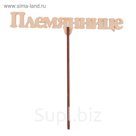 Топпер "Племяннице" из фанеры, 14,5x4,5 см