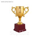 Кубок , HB 2413 A, h=28 см, d=100мм