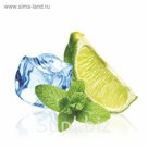 Стеклянный фартук закаленное стекло М1 "Лайм и лёд", 600х600х4