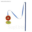 Дразнилка-удочка "В здоровом теле здоровый дух", фетр
