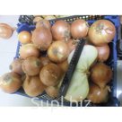 Лук репчатый Манас