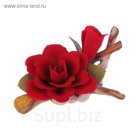 Декоративная роза Elisabeth