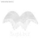 Крылья ангела 51*26