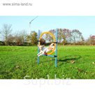 Набор для аджилити Trixie Tire Jump ,  пластик
