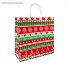 Пакет крафт "Северная сказка", 32 х 12 х 32 см, крученая ручка