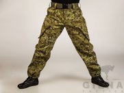 Брюки полевые Giena Tactics
