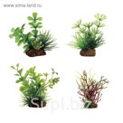 Набор искусств. растений "Прозерпинака, Амбулия, Кариота, Блестянка", 7-10 см, 4 шт