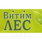 Дверь глухая липа 