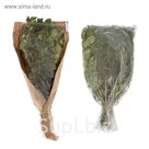 Веник берёзовый с можжевельником
