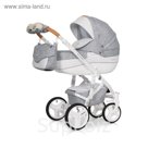 Коляска 3 в 1 BRUNO LUXE (Riko) 05 Grey Fox (серый)