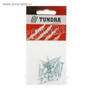Саморезы универсальные TUNDRA krep, 4х30 мм, цинк, потай, 17 шт.