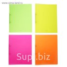 Папка на 2 кольцах А4 пластиковая 24мм Erich Krause Glance Neon, микс, EK 42971