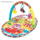 Игрушка активный центр Playgro "Прогулка"