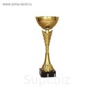 Кубок  9013 B, h=31 см, d=120 мм