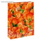 Пакет ламинат вертикальный «Мандарины», L 31 х 40 х 9 см