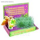 Открытка с растущей травой "С пожеланием удачи"