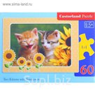 Пазлы "Котята с подсолнухами", 60 элементов