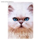 Обложка для паспорта "Кошка"
