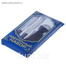 Подарочный набор, 3 предмета в коробке: 2 ручки, брелок