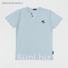 Футболка для мальчика, рост 110 см, цвет голубой G18-186